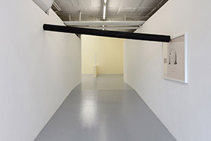 Drippy Etiquette, installation view, 'Village Lawyer', CAN Centre d'Art Neuchatel, 2018